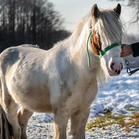 Pod Skrzydlem I Kopytkiem * Bachowice